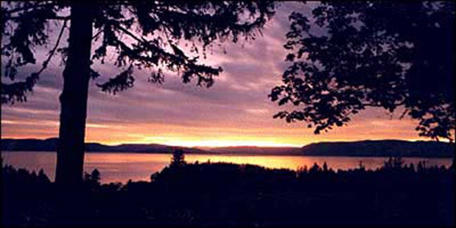 SUNSET VIEW