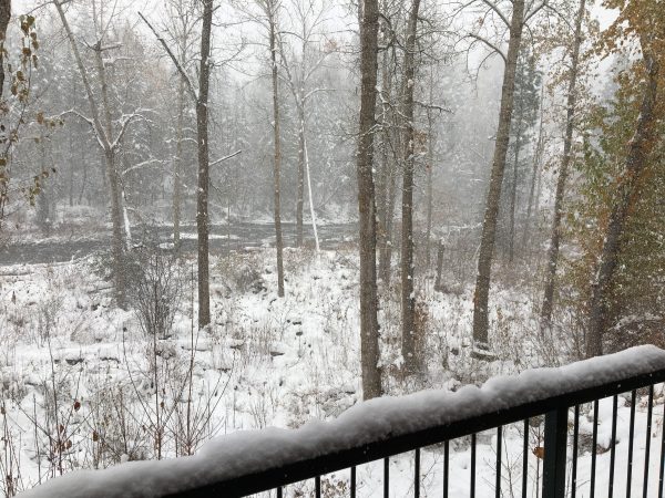 WINTER